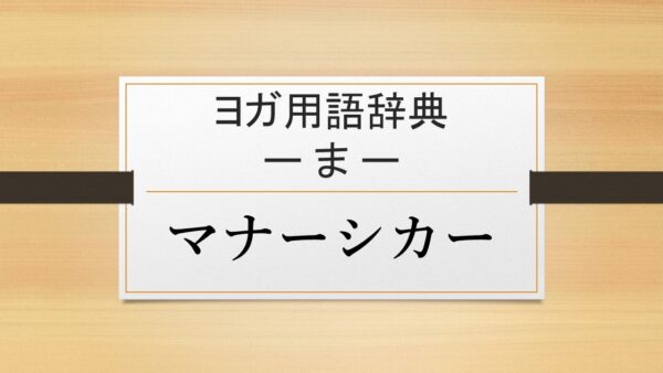 【マナーシカー】